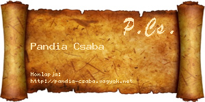 Pandia Csaba névjegykártya